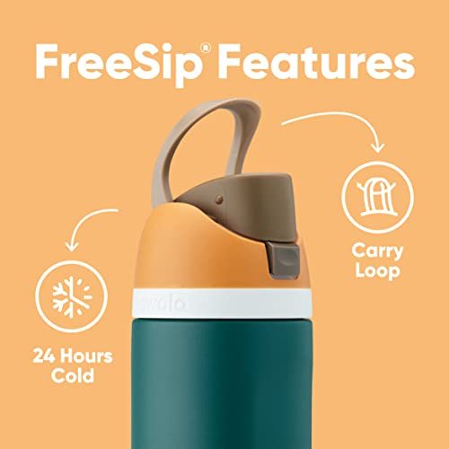 Owala FreeSip Insulated Stainless Steel Water Bottle with Straw - FORMULA TRIM